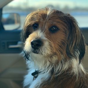 Meet your Posher, Victoria